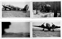 Small pictures 15.jpg